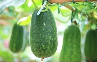 风逍遥吃瓜,揭秘娱乐圈幕后故事